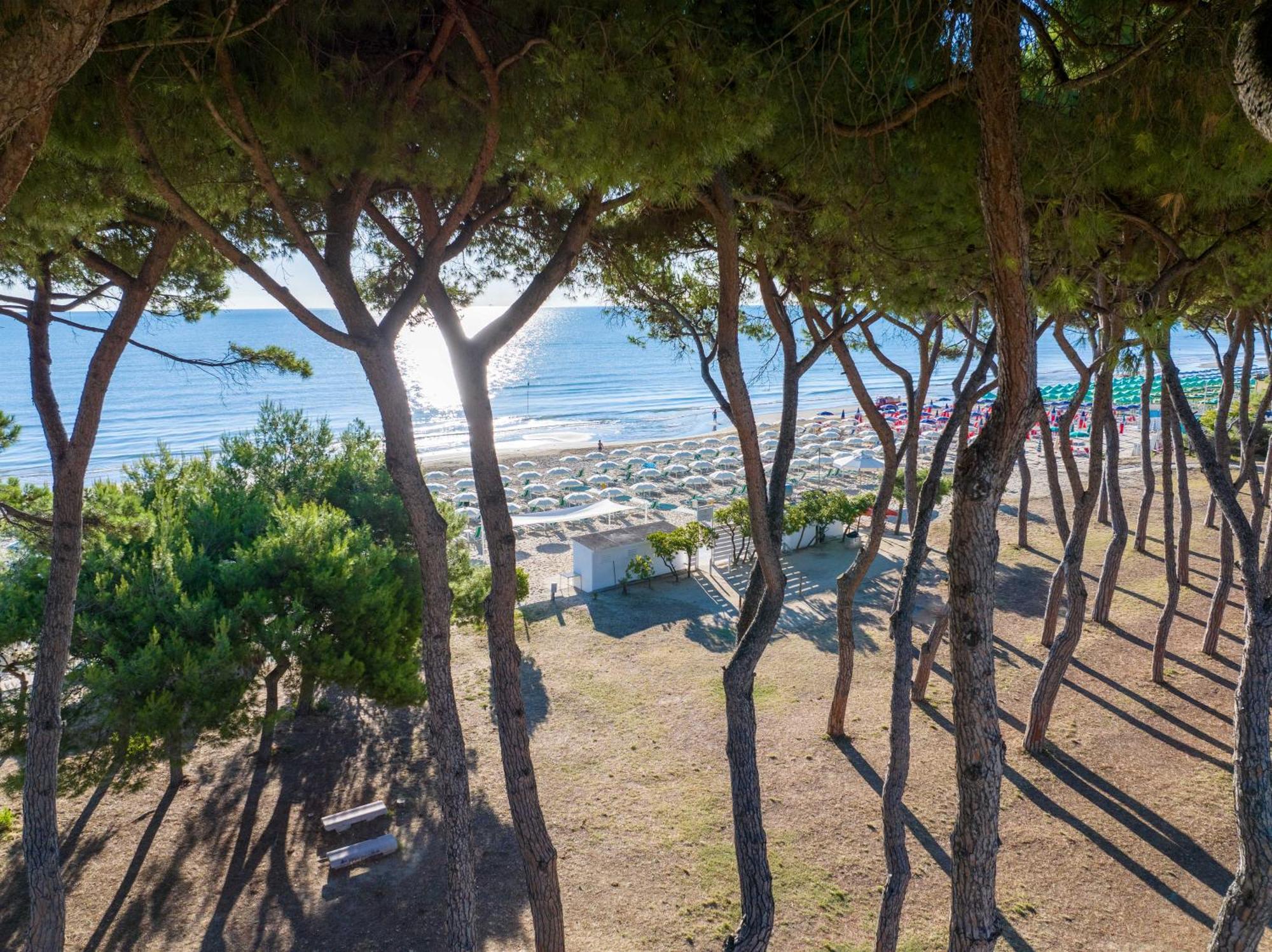 Hotel La Pineta Pineto Εξωτερικό φωτογραφία