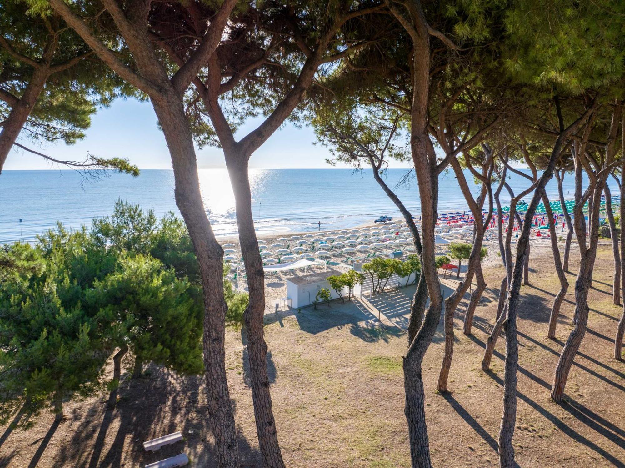 Hotel La Pineta Pineto Εξωτερικό φωτογραφία