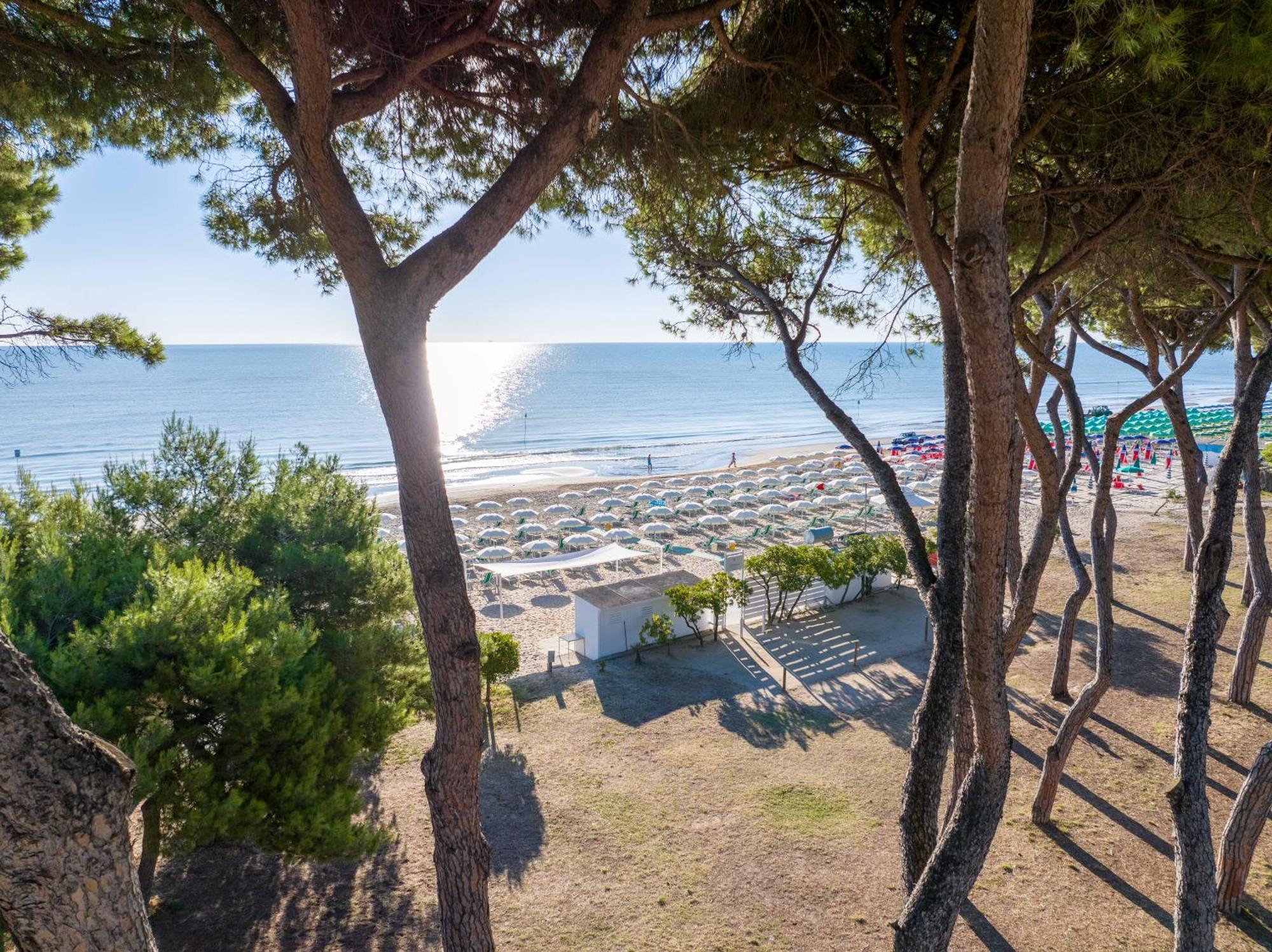 Hotel La Pineta Pineto Εξωτερικό φωτογραφία