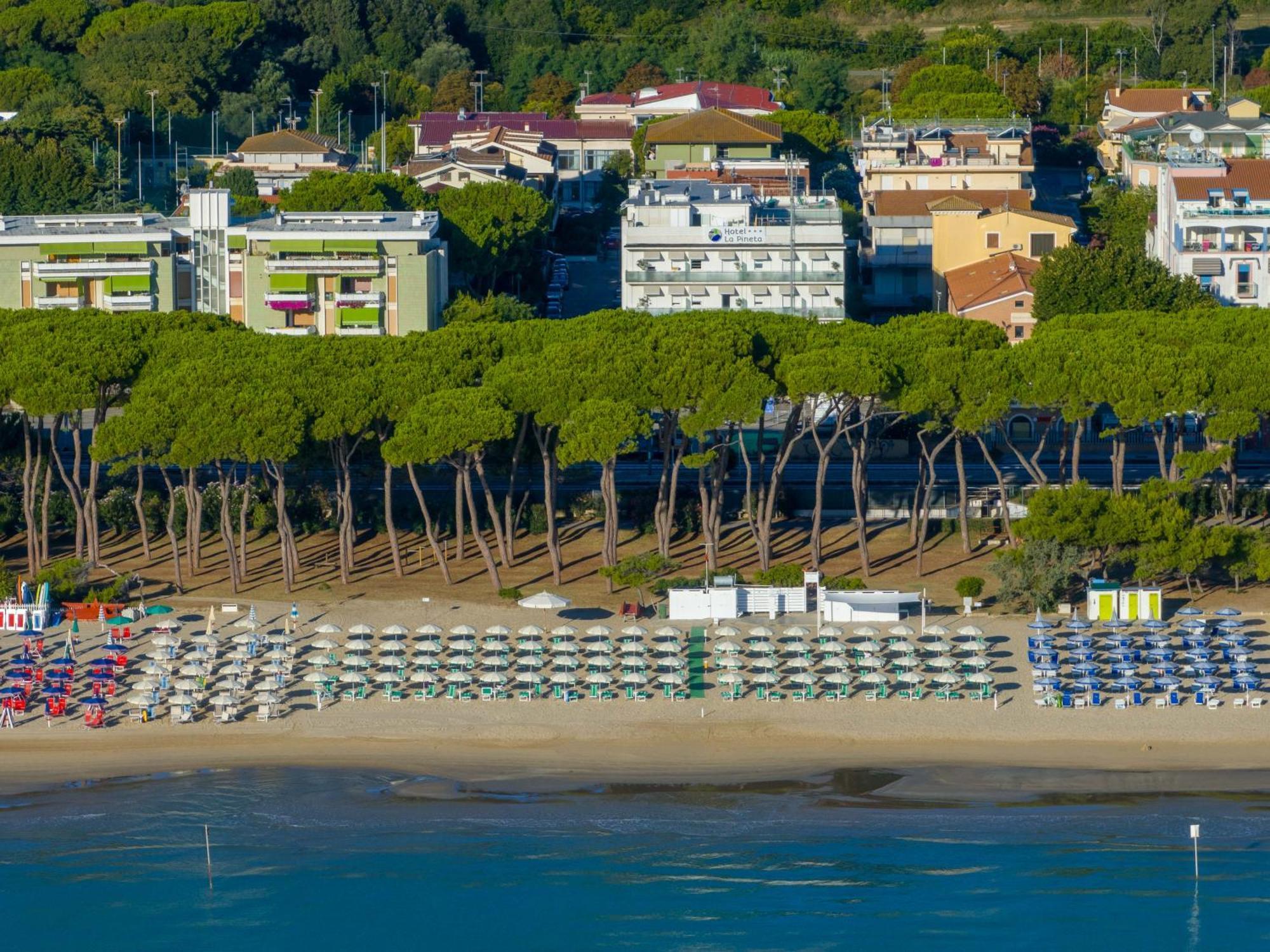 Hotel La Pineta Pineto Εξωτερικό φωτογραφία